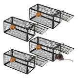 Ratazana