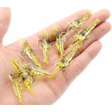 40 Isca Artificial Aromatizada Camarão Silicone Anzol Pesca Cor Conforme As Fotos