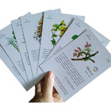 40 Cards Florais Do Dr Edward Bach Tam 10x15 Couche 300 Gr