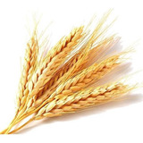 Arranjos