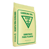 Carbonizada