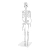 45cm Altamente Detalhado Humano Corpo Esqueleto Modelo Defin