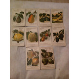 46 Figurinhas Cards De Frutas Dos