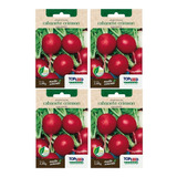 4x Sementes Rabanete Crimson Gigante Topseed