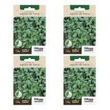 4x Sementes Agrião Da Terra Topseed