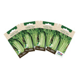 Topseed