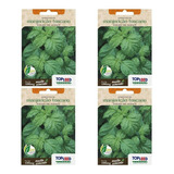 Topseed