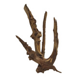 4x Tronco Raiz Galho Natural Tratado P Aquário Tamanho P