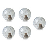 5 Bola Acrílica Hamster Roedores Exercício Globo 12cm - P