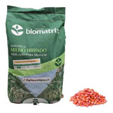 5 Kg - Semente De Milho Verde Híb. Biomatrix 3066 Vt Pro3