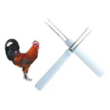 Frango
