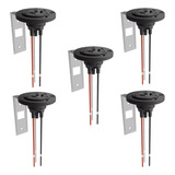 Bivolt