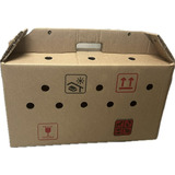 5 Caixa Para Transporte De Pintinho Galinha Galo 56x21x30cm