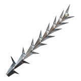 Muro