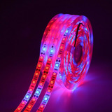 5 M Led Phyto Lâmpadas Full Espectro Led Tira Luz 300 Leds