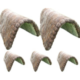 Escura