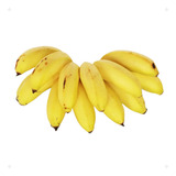 5 Mudas De Banana Maçã Brs Tropical Embrapa Manual