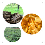 Cozinhar