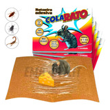 Armadilha
