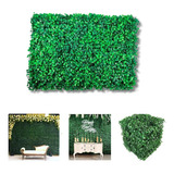 Plantas