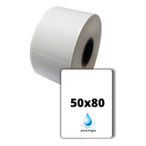 50x80