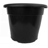 5 Vasos Pote 25 De 5 Litros Rosa Do Deserto Plantas E Flores