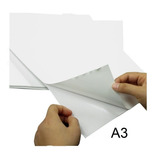 A3