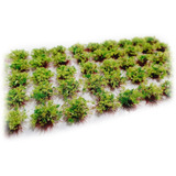 50 Arbustos Grama Estática 6mm -