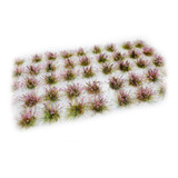 50 Arbustos Grama Estática 6mm (flor Rosa) Maquete Paiol