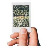 50 Fotos Mini Polaroid