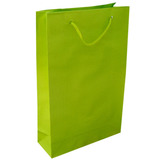 50 Sacola De Papel Verde Limão Presente 25x17x6cm Bolsa 