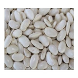 50 Sementes Fava Branca Graúda P/ Plantio