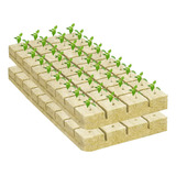 50 Unidades De Cubos De Plantas Iniciais De Mídia De Cultivo
