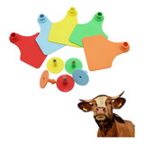 Vacas