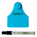 Caneta