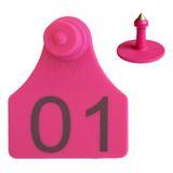 50 Brincos Médio Bezerro Gado Bovino Numerados 01 A 50 Cor Rosa