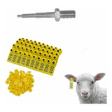Amarelo