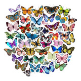 Colorido