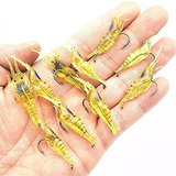 Pesca