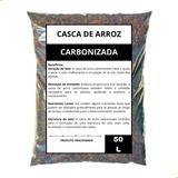 Cactos