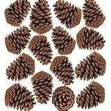 50 Peças De Decorações De Pinheiro Pinhas Naturais Pacote A Granel Ornamentos Rústicos De Pinha Para Mesa árvore De Natal Artesanato Presentes De Halloween Ação De Graças Natal Decoração