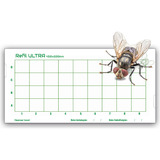 Mosca