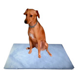 500 Uni Papel Pet Para Cachorro Jornal, Reciclado Top+brinde