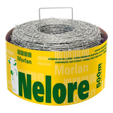 500 Metros Arame Farpado Nelore Morlan