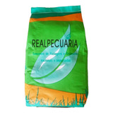 Germinação)