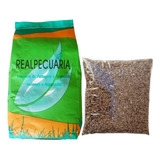 500g De Sementes De Grama Batatais + 2,5kg De Adubo Especial