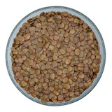 Germinação