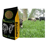 5kg Sementes De Brachiaria Brizantha Marandu Braquiarão