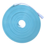 5m Mangueira Fita Led 12v Neon Corte 5cm Alto Brilho Fonte Cor Da Luz Azul Claro 110v 220v