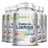 5x Enzima De Lactase Premium 60 Caps